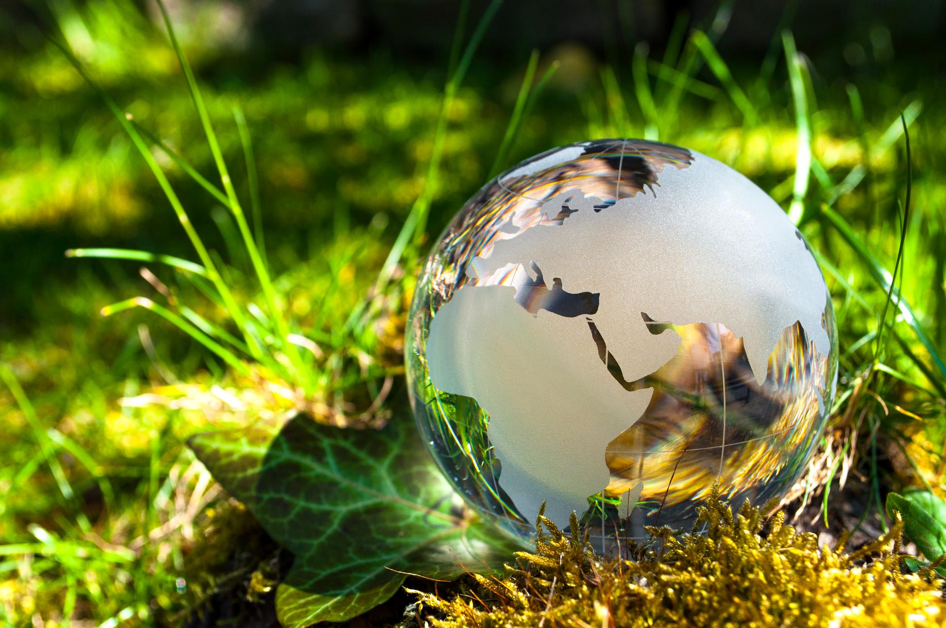 earth in grass earth in grass